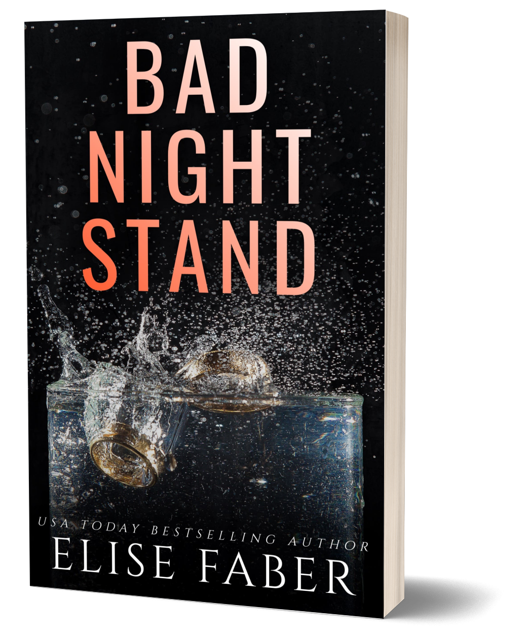 Bad Night Stand (PAPERBACK)